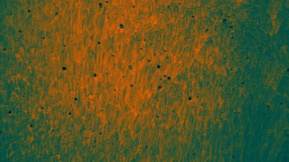 Weil wir nichts wussten Horst Moser