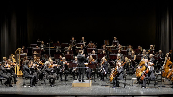 Haydn, orchestra 2026