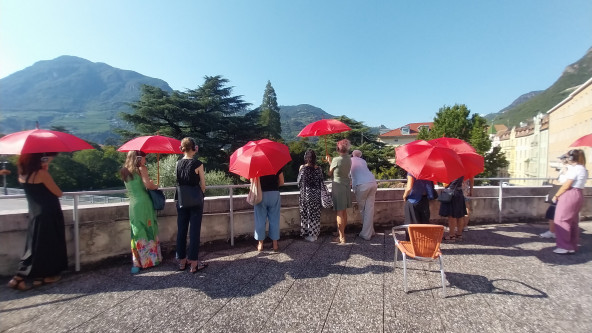 Bolzano Danza 2026, pubblico