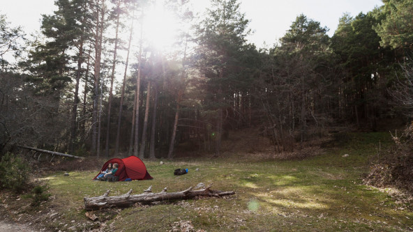 Wildcampen