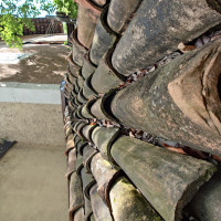 Userimage