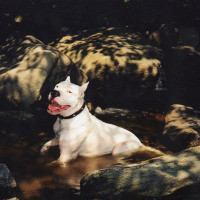 Userimage
