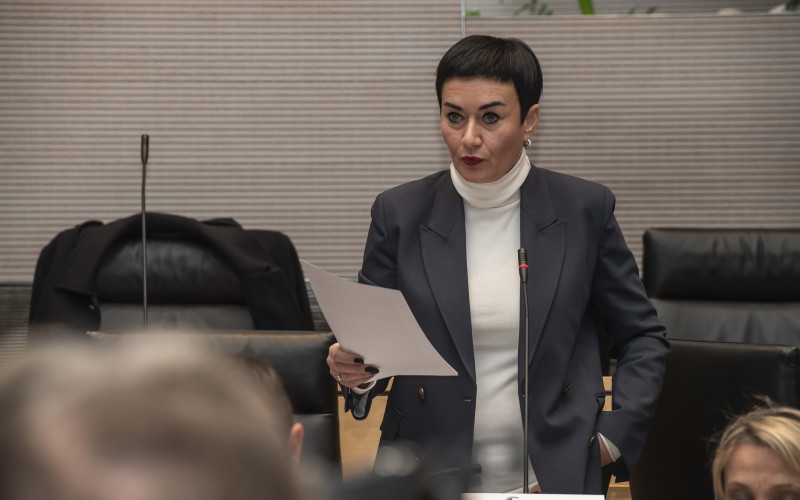 Ulli Mair Landtag 2024