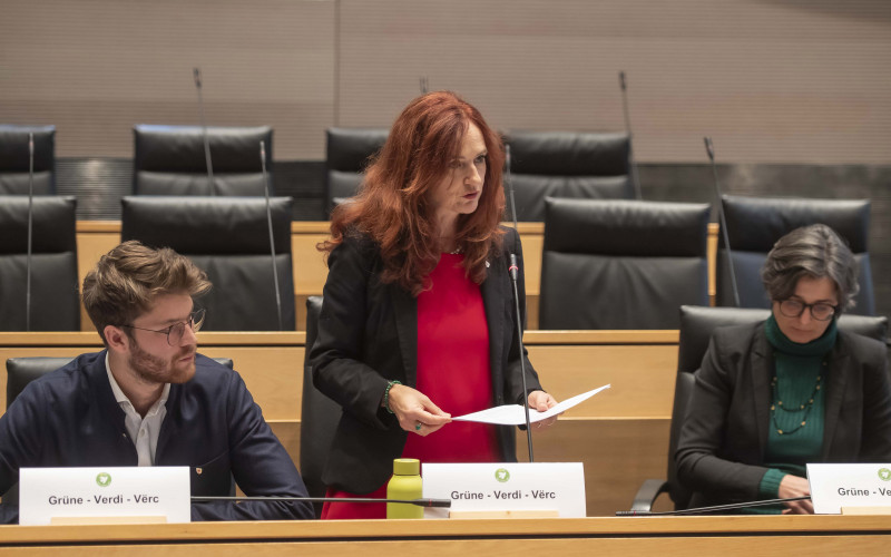 Brigitte Foppa Landtag
