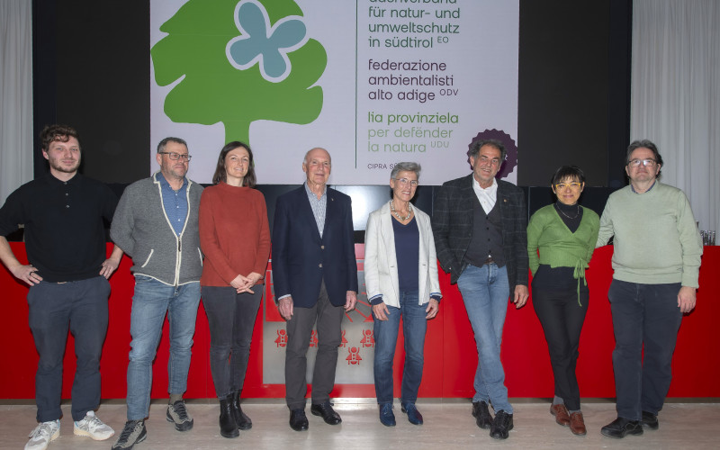 Dachverband Vorstand 2025