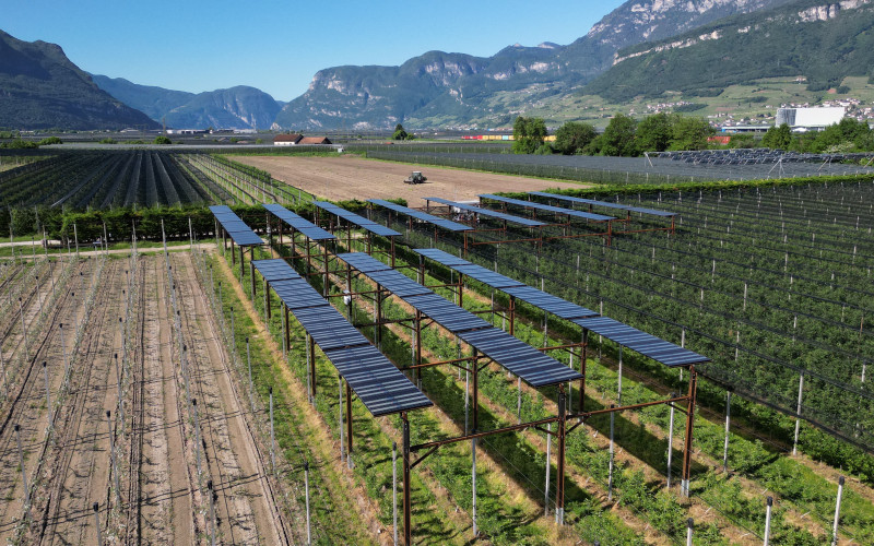 Agri-Photovoltaik Auer