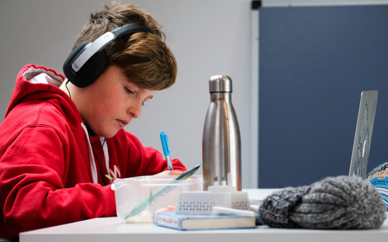 Schüler, Student