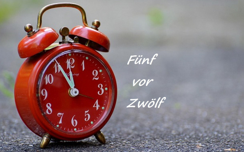 (C) pixabay