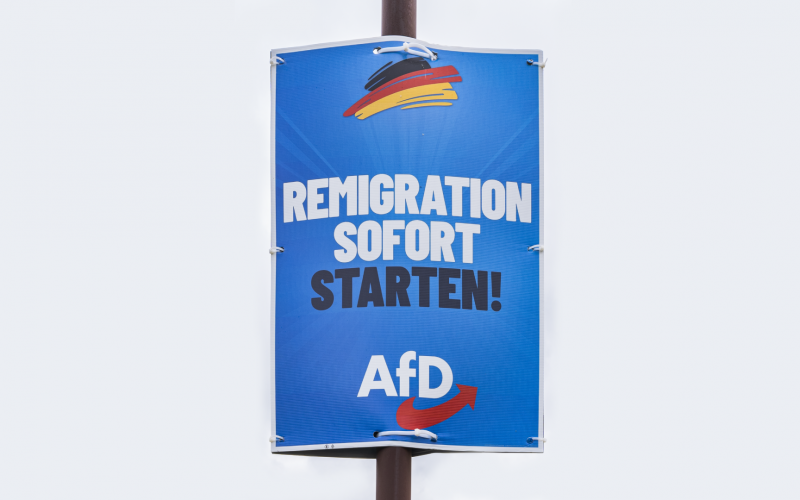 remigration