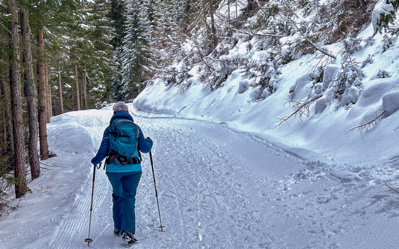 Meransen Moser Hütte