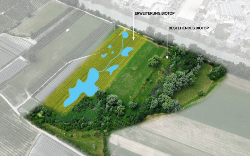 Milländer Au, Erweiterung