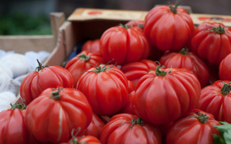 Gerippte Ochsenherz-Tomate