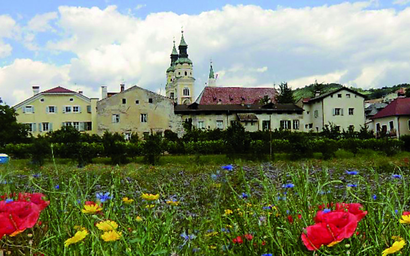 Hofburggarten