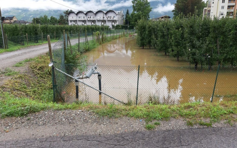 Sinigo acqua nei campi